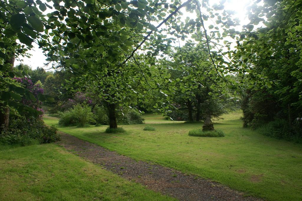 Bed and Breakfast Moorlands Parracombe Exteriér fotografie